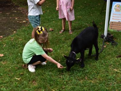 Une petite fille et une chèvre dans le Parc Malraux Un enfant s'initie aux jeux anciens © Ville de La Madeleine